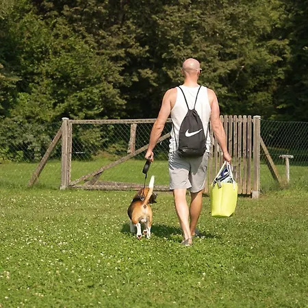Am Maltschacher Feldkirchen in Kärnten