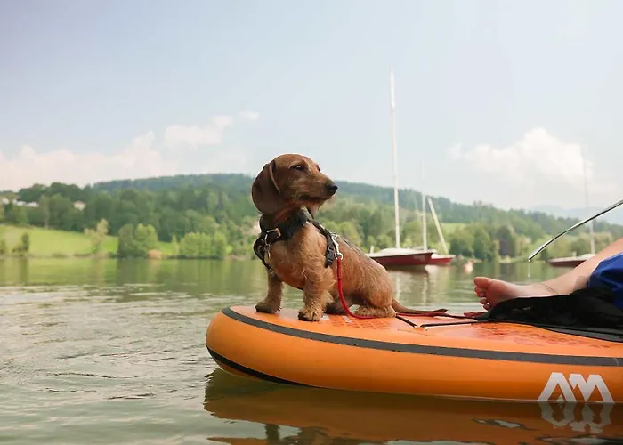 Am Maltschacher アパート *