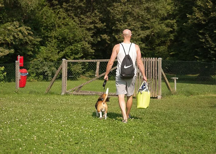 Am Maltschacher Feldkirchen in Kärnten