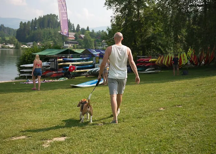 Am Maltschacher Feldkirchen in Kärnten